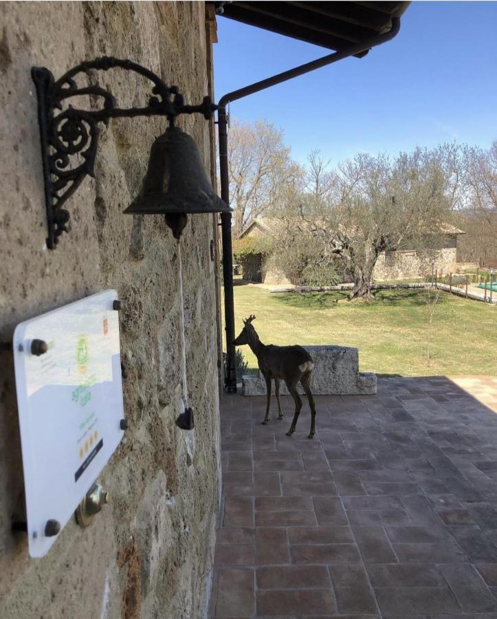Agriturismo Eco-Bio Villa Vacasio Pitigliano Ngoại thất bức ảnh