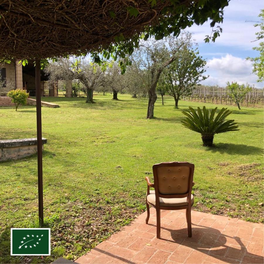 Agriturismo Eco-Bio Villa Vacasio Pitigliano Ngoại thất bức ảnh