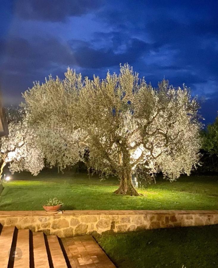 Agriturismo Eco-Bio Villa Vacasio Pitigliano Ngoại thất bức ảnh