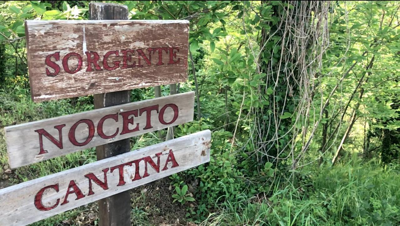 Agriturismo Eco-Bio Villa Vacasio Pitigliano Ngoại thất bức ảnh