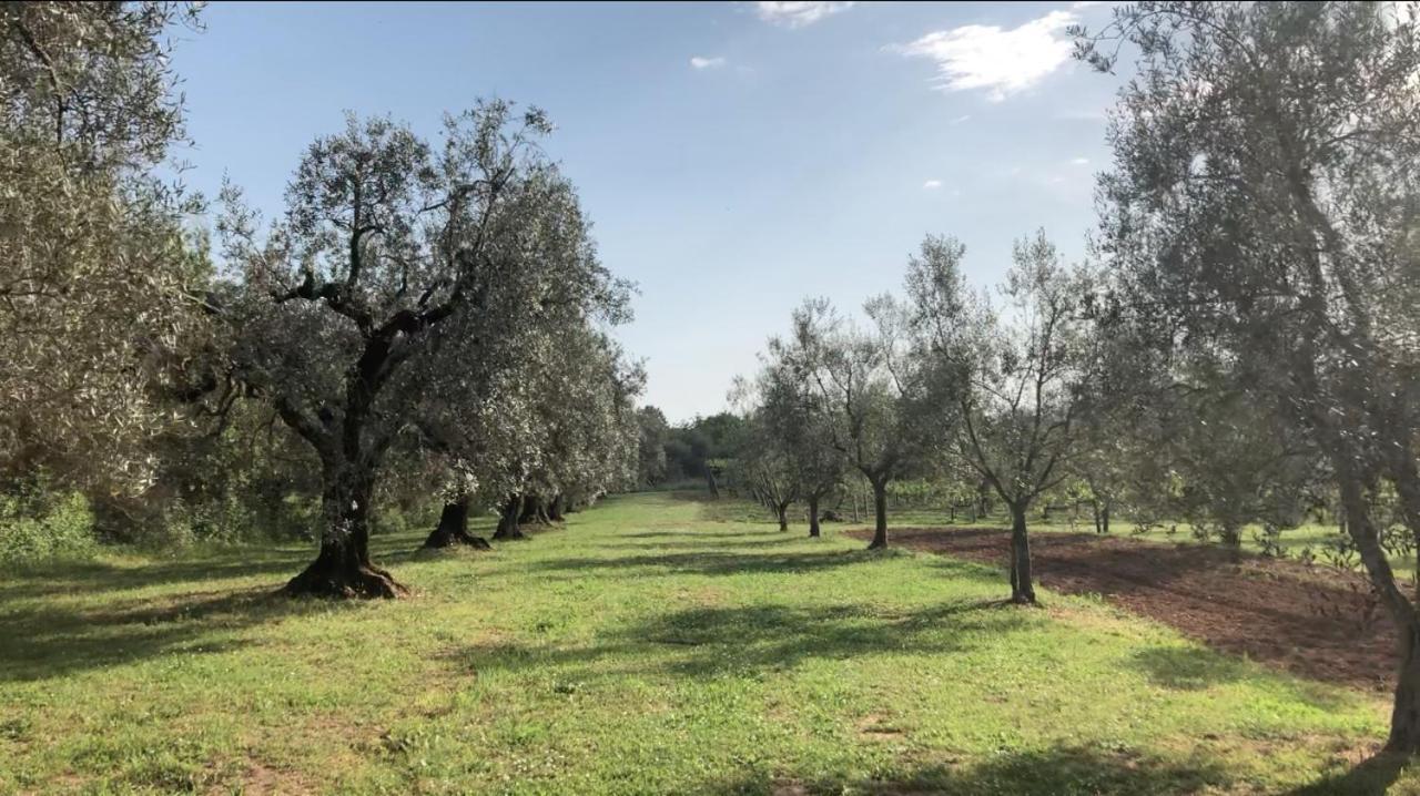 Agriturismo Eco-Bio Villa Vacasio Pitigliano Ngoại thất bức ảnh