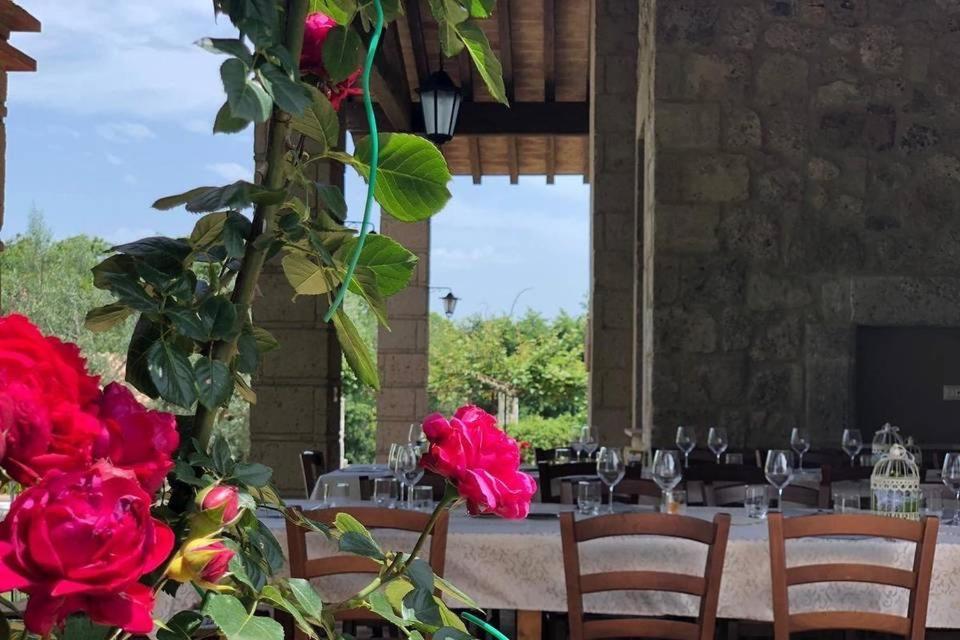 Agriturismo Eco-Bio Villa Vacasio Pitigliano Ngoại thất bức ảnh